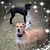 Molly Jane Adams's profile image