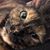 Christopher Scot Klanica's profile image