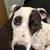 Betsy Lockard Nelson's profile image