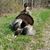 Zach Honaker's profile image