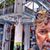 Mark Dock's profile image