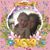 Joy Krandle- Blancato's profile image