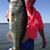 Patrick Plake's profile image