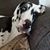Carol Seitz's profile image