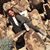 Monica Bonazza Broch's profile image