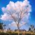 Pam DeYoung's profile image