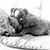 Dawn Dee Kiehn's profile image