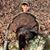 Gary Don Perkins's profile image