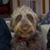Paul Cowie's profile image