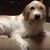 Donna Coon Titsworth's profile image