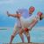 Roy Hodge's profile image
