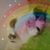 Kim Smith's profile image