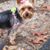 Gail Eskridge's profile image