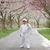 Maria Morgan-Brangiel's profile image