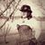 Jennifer Joyce Porzio's profile image