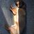 Bob Bednarek's profile image