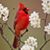 Patti Fose's profile image