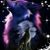 Donna M. Raiser's profile image