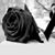 Juan Castellanos's profile image