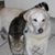 Rosemary Fogell's profile image
