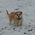 Sharon Svigel's profile image