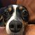 Jeffrey Sherman Thompson's profile image