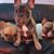 Kerry Fitzsimons's profile image