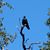Forrest Freund's profile image
