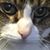 Chuck Andrews's profile image