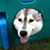 Michelle Wasielewski's profile image