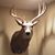 Jon Clark's profile image
