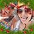Kathy M Coleman's profile image