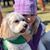 Sue Stacy's profile image