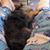 Patricia Stauffer's profile image