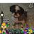 Denise Bowen's profile image