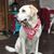 Jeanel Jaycox Darity's profile image