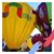 Carol Goodliffe's profile image