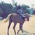 ŻǻїИàЂ ҜŋĀMįŞ's profile image