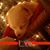 Joanne Edler-Lewis's profile image