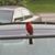 Donna Bell's profile image