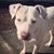 Lesa Myers Nicely's profile image