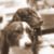 Nonnie Lee Gallt's profile image