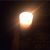 Douglas Rubel's profile image