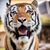 Beth Creech's profile image