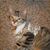 Tracy Roper's profile image