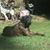 Cindy Gray's profile image