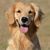 Claudia Conde's profile image