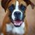 Cindy Preston Frye's profile image