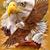 Alfonso Corrales's profile image