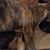Angela Dawn Turlot's profile image